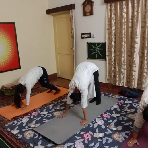 Small-group class: downward dog, January 2026