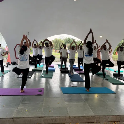 Group session in the park: tree pose, June 2026