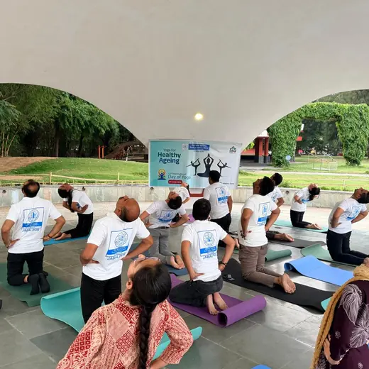 Group session in the park: kneeling back bends, June 2026